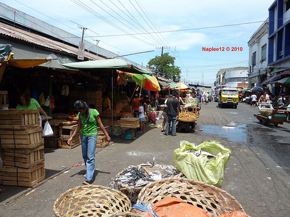 Carbon Market in Cebu City