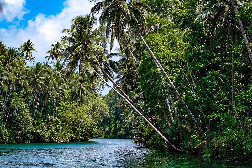 Loboc River in Bohol